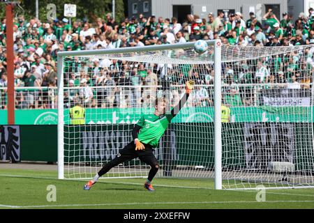 Muenster, Deutschland. 24 août 2024. GER, Preussen Muenster gegen 1.FC Kaiserslautern, Fussball, 2.Liga, 3. Spieltag, Spielzeit 2024/2025, 24.08.2024 Johannes Schenk (Preussen Muenster,#1) LA RÉGLEMENTATION DFL INTERDIT TOUTE UTILISATION DE PHOTOGRAPHIES COMME SÉQUENCES D'IMAGES ET/OU QUASI-VIDÉO Foto : Eibner-Pressefoto/ Frank Zeising Credit : dpa/Alamy Live News Banque D'Images