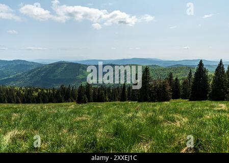 Vue de Hala Rycerzowa dans les montagnes Beskid Zywiecki en Pologne près des frontières avec la Slovaquie pendant la belle journée d'été Banque D'Images