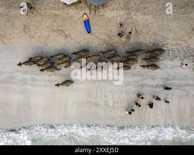 Semeta Beach, Lombok Indonésie Banque D'Images