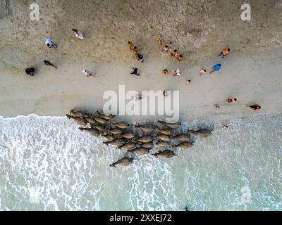 Semeta Beach, Lombok Indonésie Banque D'Images