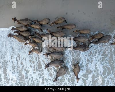 Semeta Beach, Lombok Indonésie Banque D'Images