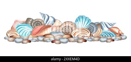 Coquilles de mer illustration d'aquarelle dessinée à la main isolé. Coquille Saint-Jacques océanique sous-marine, animaux de récif mollusque. Composition tropicale marine. Exotique nautique Banque D'Images