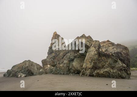 Small Sea Stack exposé à Low Tide dans le parc national de Redwood Banque D'Images