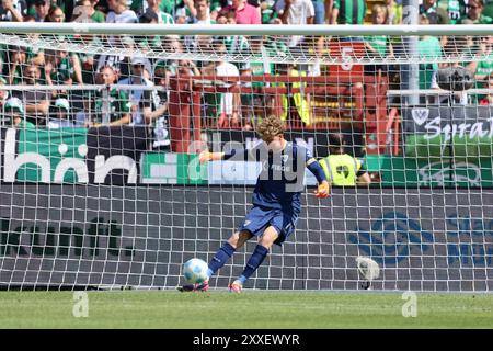 Muenster, Deutschland. 24 août 2024. GER, Preussen Muenster gegen 1.FC Kaiserslautern, Fussball, 2.Liga, 3. Spieltag, Spielzeit 2024/2025, 24.08.2024 Johannes Schenk (Preussen Muenster,#1) LA RÉGLEMENTATION DFL INTERDIT TOUTE UTILISATION DE PHOTOGRAPHIES COMME SÉQUENCES D'IMAGES ET/OU QUASI-VIDÉO Foto : Eibner-Pressefoto/ Frank Zeising Credit : dpa/Alamy Live News Banque D'Images