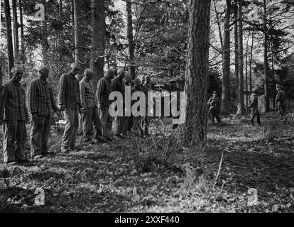 Vingt prisonniers polonais du camp de concentration de Buchenwald en attente d'exécution. Ils ont été pendus en représailles pour le meurtre d'un garde de camp allemand. Buchenwald et ses 139 sous-camps étaient des camps de travaux forcés et non des camps de la mort et il n'y avait pas de chambres à gaz. Cependant, les mauvaises conditions, les abus et les exécutions ont entraîné la mort de 56500 personnes dans ce pays. Il a été libéré par l'armée américaine le 11 avril 1945. Banque D'Images