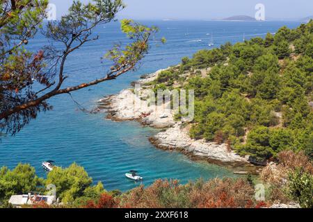 Feu de forêt sur Murter, Croatie, juillet 30 2024. Forêt brûlée par la mer Adriatique. Lagon bleu sous une forêt morte. Temps chaud et sec en Europe Banque D'Images