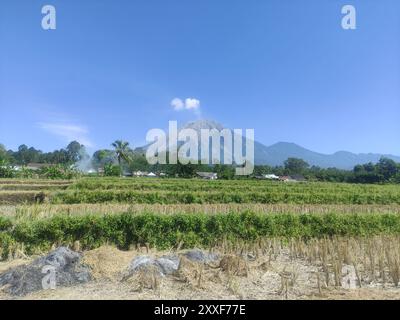 Le mont Semeru, la plus haute montagne de l'île de Java, en Indonésie Banque D'Images