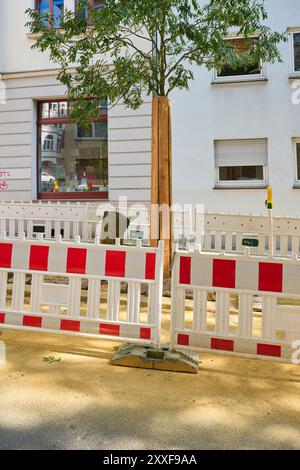 Mit Brettern gschützer Baum in einer Baustelle Banque D'Images