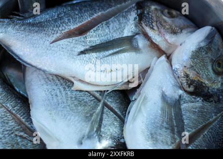 Poissons crus nettoyés préparés pour la cuisson. Banque D'Images