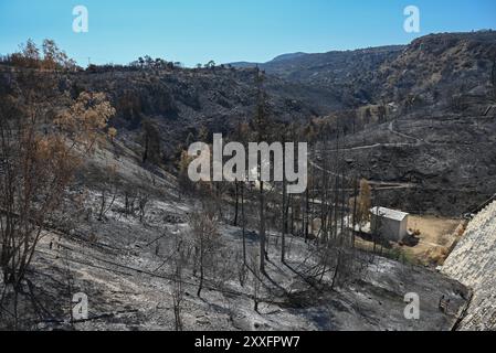 Séquelles du feu de forêt de l'est de l'Attique dans le lac Marathon vue du barrage Marathon entouré de troncs d'arbres brûlés suite au feu de forêt dévastateur qui a fait rage dans l'est de l'Attique entre le 11 et le 13 août 2024. Le réservoir de marathon est une source d'eau importante pour Athènes. Athènes Grèce Copyright : xNicolasxKoutsokostasxNicolasxKoutsokostasx DSC 202408240069 Banque D'Images