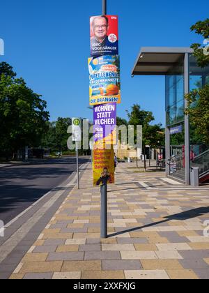 HOPPEGARTEN, ALLEMAGNE - 24 AOÛT 2024 : affiches politiques pour les élections législatives de septembre 2024 dans le Brandebourg. Banque D'Images