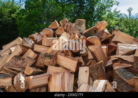 Un tas de bûches avec des arbres en arrière-plan, mettant en valeur des éléments comme le bois, le bois d'œuvre, les arbres, le ciel et la terre, typique d'un cadre naturel Banque D'Images