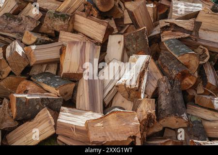 Une pile soignée de planches de bois se repose les unes sur les autres, formant un arrangement stable Banque D'Images