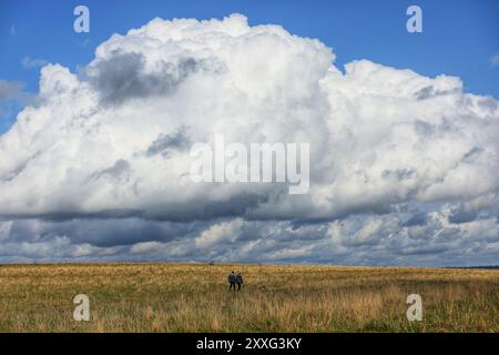 Stroud, Royaume-Uni, août 2024. Météo britannique. D'énormes nuages de tempête se rassemblent au-dessus de Stroud alors que les promeneurs marchent rapidement au-dessus de Selsley Common. Gloucestershire. Banque D'Images