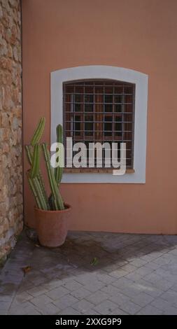 Un cactus en pot en terre cuite se dresse à côté d'une fenêtre barrée sur un mur de stuc de pêche avec un sol pavé. Banque D'Images