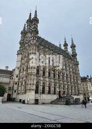 Photo Hôtel de ville de Louvain Belgique europe Banque D'Images