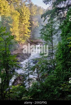 En regardant à travers les arbres, on aperçoit de la brume s’élevant des chutes Ragged, dans la rivière Oxongue, dans le parc Algonquin, en Ontario. Banque D'Images