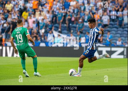 Porto, Portugal. 24th Aug, 2024. during the Liga Portugal Betclic Round 3 soccer match between FC Porto and Rio Ave FC, in Porto, 24 August 2024. Credit: Atlantico Press/Alamy Live News Stock Photo