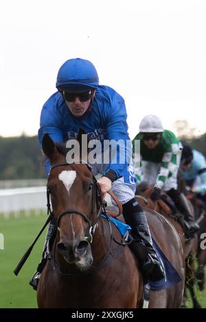 MIDNIGHT THUNDER piloté par le jockey Kieran O'Neill remporte le Get Raceday Ready novice Stakes (Class 5) (GBB Race) au Royal Windsor Racecourse à Windsor, Berkshire, lors de la soirée de clôture estivale. Propriétaire et éleveur Godolphin, entraîneur Saeed bin Suroor, Newmarket, sponsor Emirates Fly Better. Crédit : Maureen McLean/Alamy Live News Banque D'Images