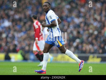 Brighton et Hove, Royaume-Uni. 24 août 2024. Danny Welbeck de Brighton lors du premier League match à l'AMEX Stadium, Brighton et Hove. Le crédit photo devrait se lire : Paul Terry/Sportimage crédit : Sportimage Ltd/Alamy Live News Banque D'Images