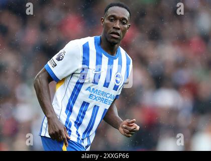 Brighton et Hove, Royaume-Uni. 24 août 2024. Danny Welbeck de Brighton lors du premier League match à l'AMEX Stadium, Brighton et Hove. Le crédit photo devrait se lire : Paul Terry/Sportimage crédit : Sportimage Ltd/Alamy Live News Banque D'Images