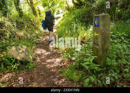 Un pèlerin solitaire passe un marqueur Camino sur un chemin accidenté dans l'ombre de la forêt près de Pinheiro le long du Camino de Invierno en route vers Saint-Jacques-de-Compostelle Banque D'Images