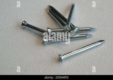 Gros plan de petits clous en métal sur un fond blanc Banque D'Images