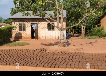 24 mai 2016. Afrique, Ouganda, Ishasha, Parc national de la Reine Elizabeth. Kibale. Maison de village avec briques de boue de séchage dans la cour. 2016-08-04 Banque D'Images