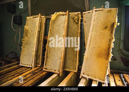 Cadres dans lesquels est stocké le miel frais non fini dans des nids d'abeilles. Gros plan Banque D'Images