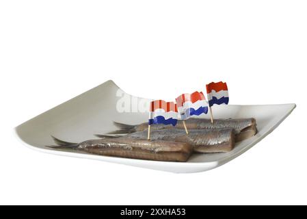 Den Helder, pays-Bas. Juin 2022. Hareng cru frais sur une assiette blanche. Isolé. mise au point sélective Banque D'Images