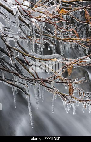 Glaçons dans un ruisseau, réserve naturelle de Dundret, Gaellivare, Norrbotten, Laponie, Suède, octobre 2016, Europe Banque D'Images
