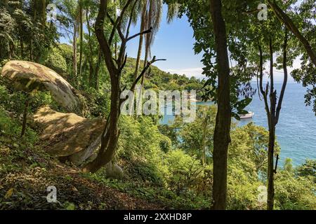 Vue sur la mer à travers les branches et les arbres de la forêt tropicale forêt dans la côte verte de Rio de Janeiro, à l'extérieur, la nature, la jungle, le tourisme, l'autre Banque D'Images