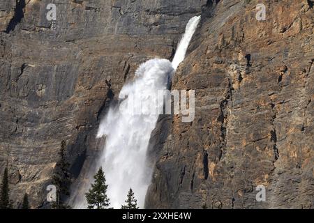 Parc national Takakkaw Falls im Yoho, en Colombie-Britannique Banque D'Images