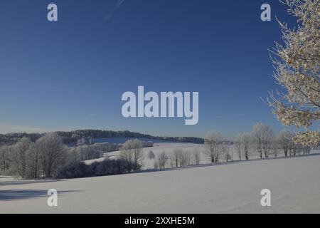 Hiver en saxon, haute-Lusace. Montagnes de haute Lusace près de Weifa en hiver Banque D'Images