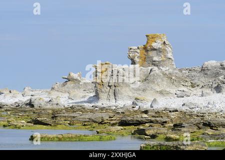 Rauks à Digerhuvud, Féroé en Suède. Région de Rauk Digerhuvud sur Gotland en Suède Banque D'Images