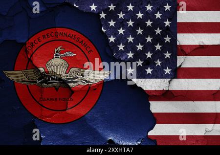 Drapeaux de United States Marine corps Force reconnaissance et USA peints sur un mur fissuré Banque D'Images