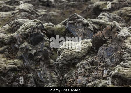 Formations de lave couvertes de gris et de mousse à Landmannalaugar en Islande Banque D'Images