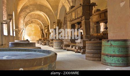 Ancienne cave à vin dans le monastère d'Eberbach Banque D'Images