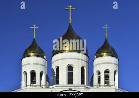 Dômes de la cathédrale du Christ Sauveur. Kaliningrad (anciennement Koenigsberg), Russie, Europe Banque D'Images