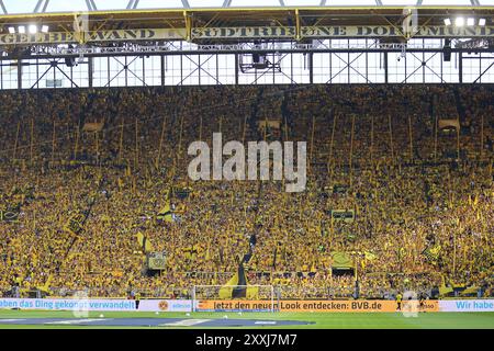 Dortmund, Deutschland. 24 août 2024. Suedtribuehne BVB, die gelbe Wand GER, Borussia Dortmund gegen Eintracht Frankfurt, Fussball, 1.Liga, 1.Spieltag, Spielzeit 2024/2025, 24.08.2024 LA RÉGLEMENTATION DFL INTERDIT TOUTE UTILISATION DE PHOTOGRAPHIES COMME SÉQUENCES D'IMAGES ET/OU QUASI-VIDÉO Foto : Eibner-Pressefoto/ Frank Zeising crédit : dpa/Alamy Live News Banque D'Images