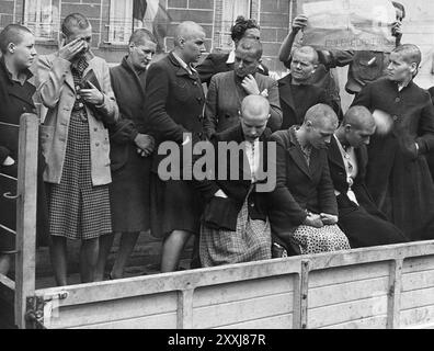 Des femmes pensaient avoir collaboré avec les Allemands punis à Cherbourg. Les membres de la résistance rasent les cheveux de la femme avant de les faire défiler dans les rues. La photo est datée du 14 juillet 1944 Banque D'Images