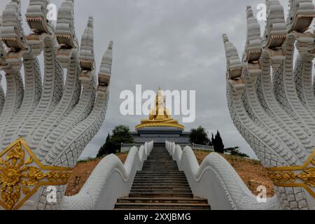 Statue de Bouddha géant, plaine de pots, Phonsavan, Xieng Khouang, Laos Banque D'Images