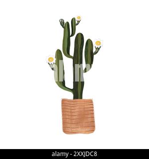 Cactus dans un panier en osier. Plantes pour la maison. Floriculture. Décoration intérieure. Illustration d'aquarelle isolée sur fond blanc. Clipart. Banque D'Images