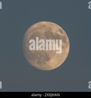 Lune gibbbous cirée à 92% illumination le 17 août 2024 au-dessus de la Bay Area, Californie à 20:08PM. Banque D'Images