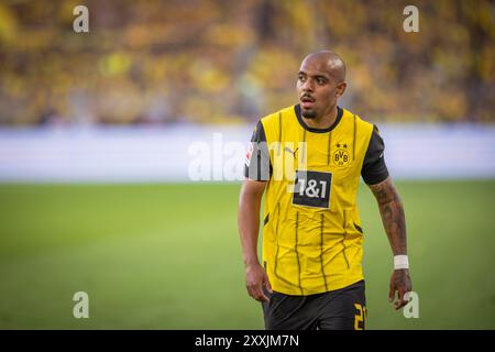 Dortmund, Germany. 24th Aug 2024.  Donyell Malen (BvB) Borussia Dortmund - Eintracht Frankfurt 24.08.2024   Credit: Moritz Muller/Alamy Live News Stock Photo