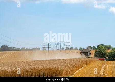 Récolte de blé Framlingham Suffolk UK Banque D'Images
