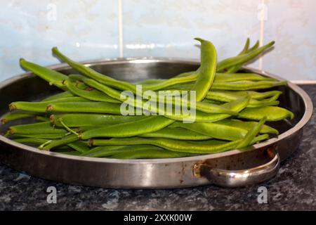 Haricots coureurs (phaseolus coccineus) fraîchement pris dans le jardin familial dans les mois d'été. Banque D'Images