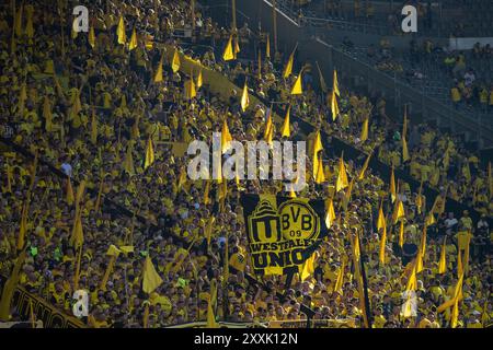 Dortmund, Deutschland. 24 août 2024. Sued Tribuene Dortmund Dortmund, Allemagne, 2024-8-24, signal Iduna Park, 1. BUNDESLIGA : BORUSSIA DORTMUND - EINTRACHT FRANKFURT/DFB/DFL LA RÉGLEMENTATION INTERDIT TOUTE UTILISATION DE PHOTOGRAPHIES COMME SÉQUENCES D'IMAGES ET/OU QUASI-VIDÉO. Crédit : dpa/Alamy Live News Banque D'Images