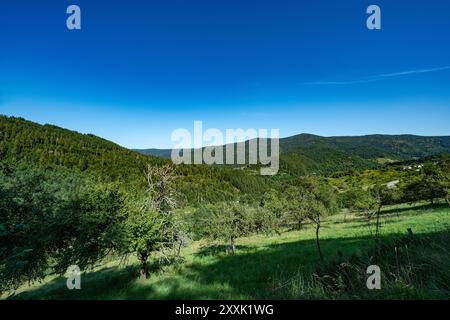 Vue sur le Murgtal au-dessus de Forbach, Bermersbach dans le nord de la Forêt Noire par une belle journée d'été. Baden-Württemberg, Allemagne, Europe Banque D'Images