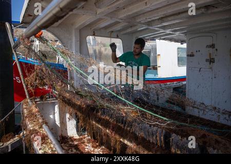 Un petit pêcheur nettoie le bateau sur lequel il a travaillé en mer le matin des algues envahissantes asiatiques (Rugulopteryx okamurae). Les pêcheurs de la guilde de la ville de Conil de la Frontera, Cadix, sortent pêcher tous les jours à la mer. Le poisson récolté à l'aide de techniques traditionnelles et artisanales telles que la palangre ou les filets de pêche est ensuite vendu aux enchères sur le marché, qui certifie l'appellation d'origine et où se rassemblent les représentants des principaux restaurants et marchés de gros d'Espagne. En plus de la pénurie de produits due à l'épuisement, ces jours-ci il y a l'APE Banque D'Images